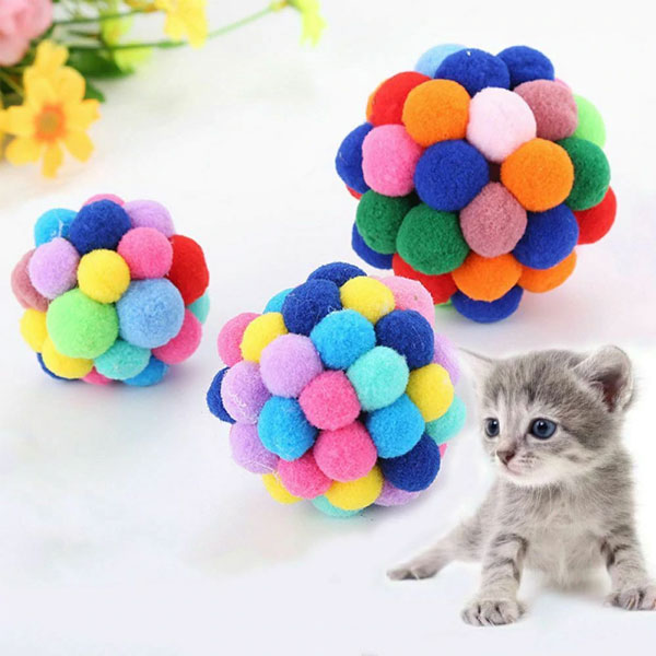 Cat-bouncy-ball.jpg